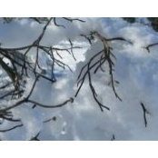 Kathy Harris's photo