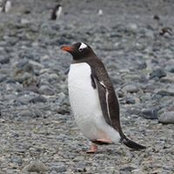 Jimmy Jackson's photo
