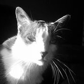 Bryan Frey's photo