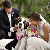 Maribeth Mcmillan's photo