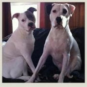 Susan Stump's photo