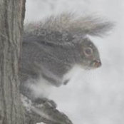 Rhian Ellis's photo