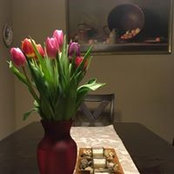 Sorina Plosceanu's photo