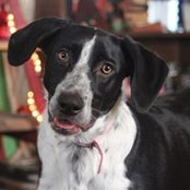 Judy Wolf's photo