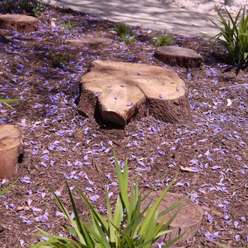 Primary School Nature Play