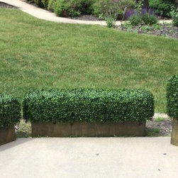 Boxwood Hedge - Accent And Garden Stools