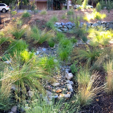 Placerville Woodland Garden