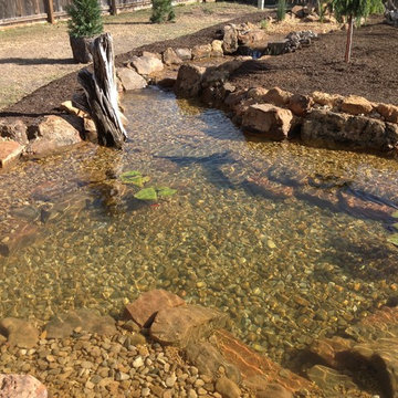 Marilyn's Pond With Waterfalls, a Stream, and a Bog Filter