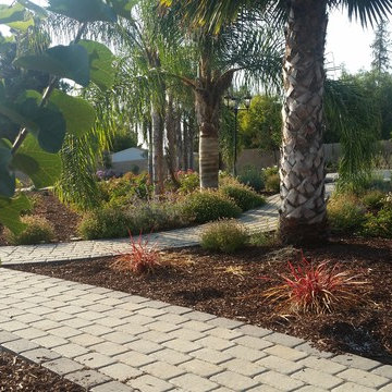 A Backyard Oasis
