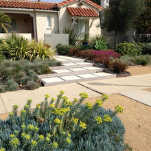 front yard