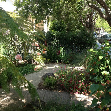 Rockridge shade garden