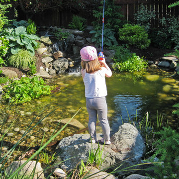 Pond