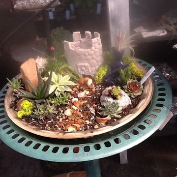 Fairy Garden-----A refreshing change of pace