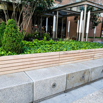 Lexington Avenue Public Garden
