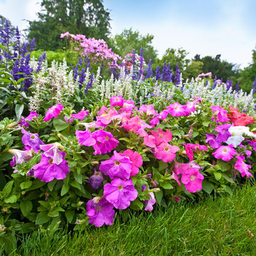 Suwanee Georgia Seasonal Flower Landscaping
