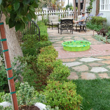 Landscape Ideas