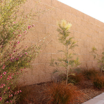 Arresting Dunes - Coastal Gem Garden
