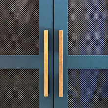 Metal (mesh) Paneled Door Front Pics