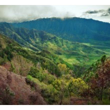 Oahu Hikes
