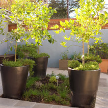 Kitchen Garden Ideas