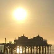 Lisa Pope's photo
