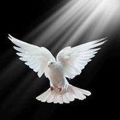 Donna Sides's photo