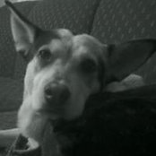 Wanda Van Dorn's photo