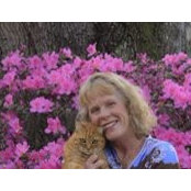 Kaye Brantley's photo