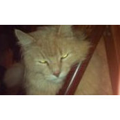Melinda Bleier's photo