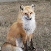 Robbie Jankowski's photo