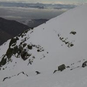 David Shirley's photo