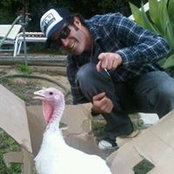 Foto de Jon Phillips
