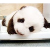 Jing Yang's photo