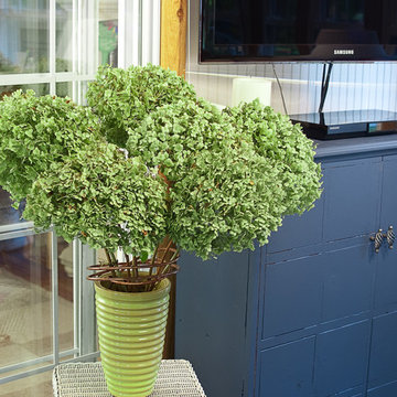 Incrediball® Smooth Hydrangea
