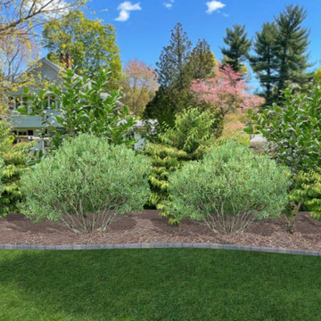 Foundation Plantings