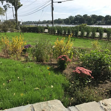 Pollinator and Rain Gardens