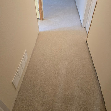 Basement Subtle Clay Carpet