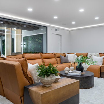 End Unit - Modern Transitional Luxury Rowhome | Heritage Place Naperville, IL