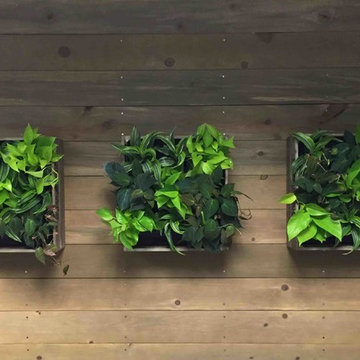 Wine Crate wall planters