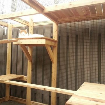 Cedar Cat Enclosure