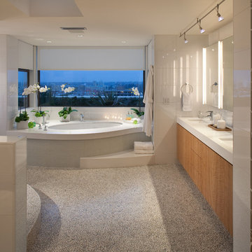 Modern Penthouse