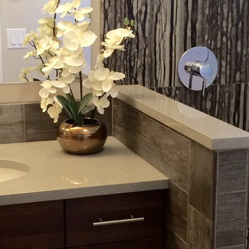 Manette Master Bathroom Project