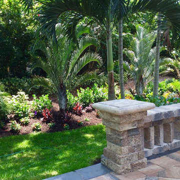 Tropical front & backyard landscapes....Palms & Color