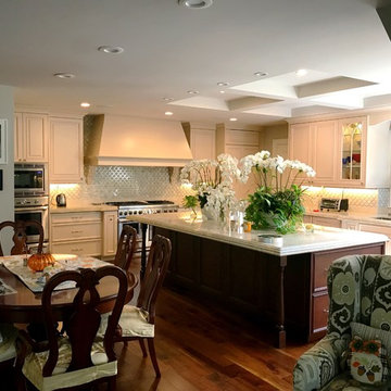 Kitchen Remodel/Renovation