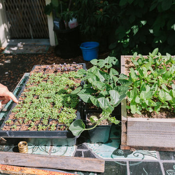 Urban Homesteading Oakland 1