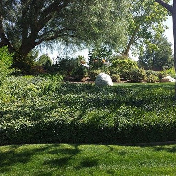 Landscaping Projects