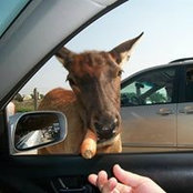 Jackie Hauser Zacharias's photo