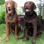 Cheri Spahr's photo