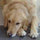 webuser_73025