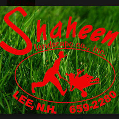 Shaheen Landscaping